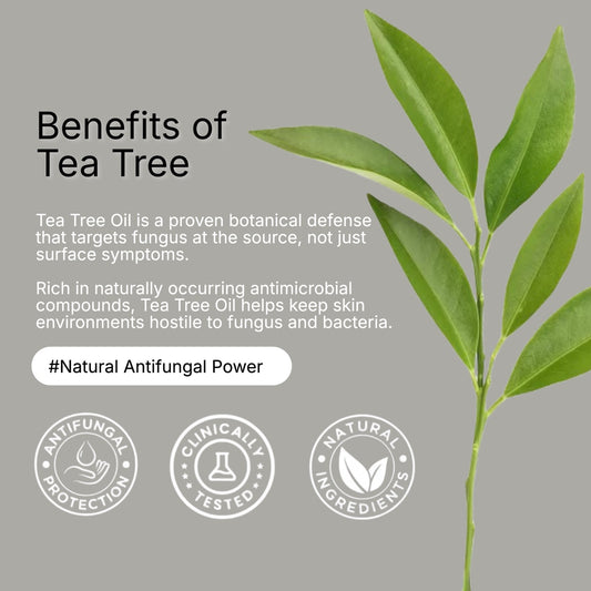 Tea Tree Oil Toenail Health Stick